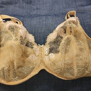 38G lace bra